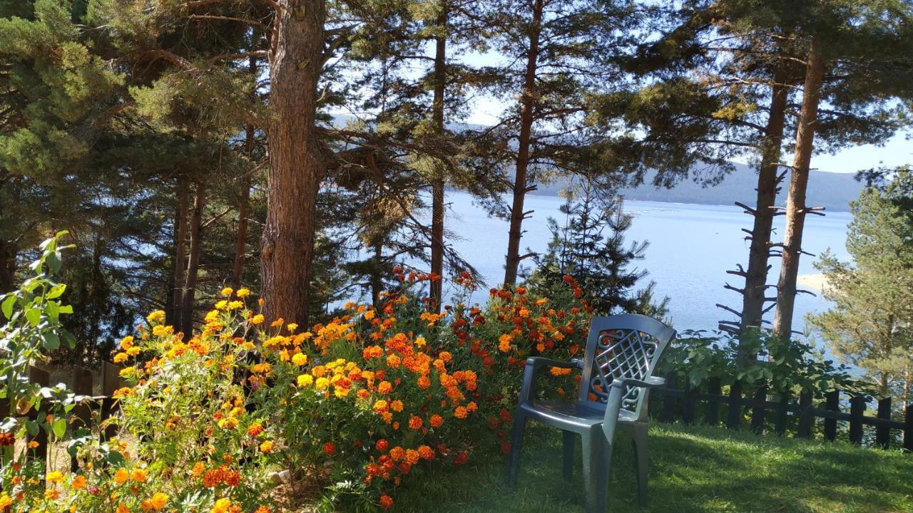 Къща За Гости Сиана Dospat Exterior foto